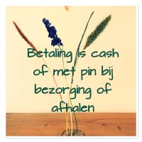 Betaling